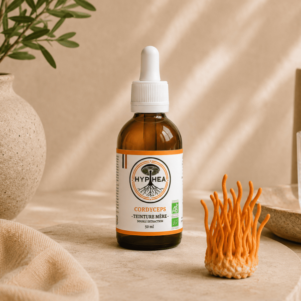 teinture cordyceps